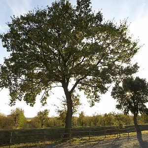 Bauernhof Lucerna Del Prile, Castiglione della Pescaia